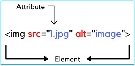 Properties and Attributes