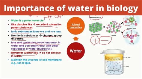 Properties and Significance