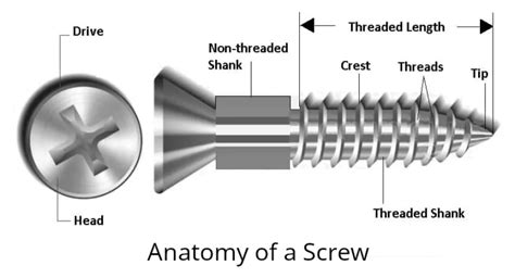 Properties and Types of Screws