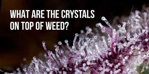 Properties of Pot Crystals