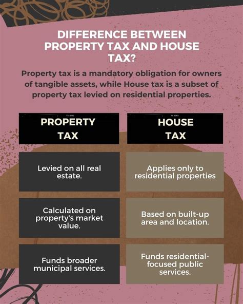 Property Tax Basics