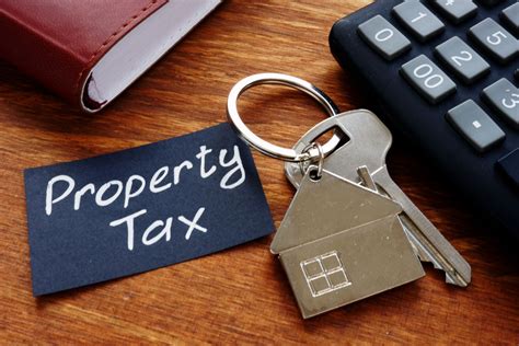 Property Tax Payment: