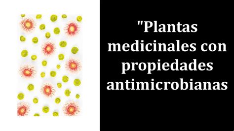 Propriedades antimicrobianas: uma defesa natural