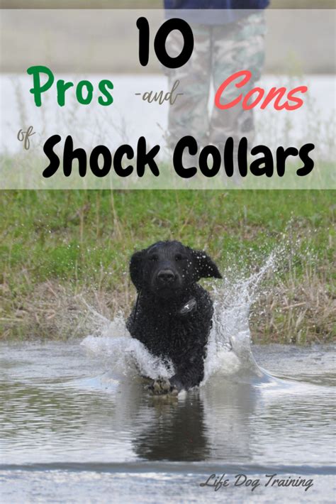 Pros and Cons of Dog Shock Collars