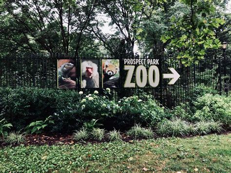 Prospect Park Zoo New York: A Comprehensive Guide to 40+ Species, Must-Visit Exhibits & Conservation Efforts