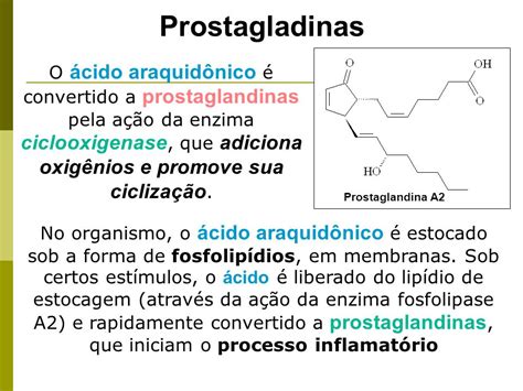 Prostaglandinas: O Que São e Como Agem no Organismo