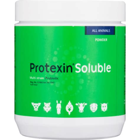 ProteXin：守護腸道健康的秘密武器