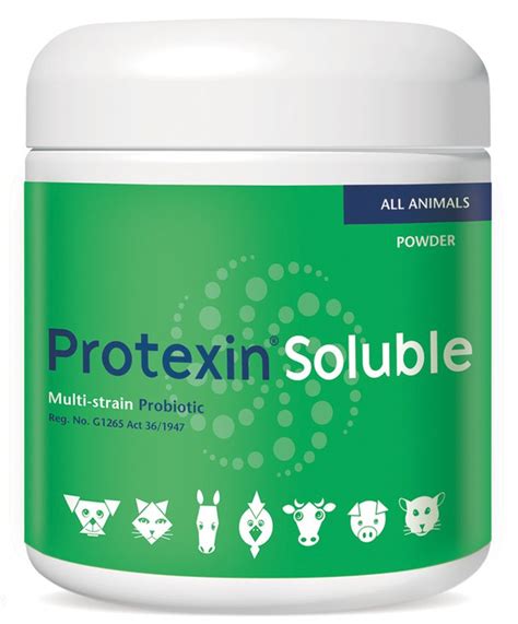 ProteXin：改善消化系統健康的關鍵