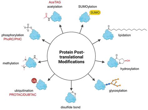 ProteXins：生物科技領域的革命性突破