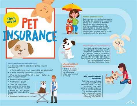 Protect Your Beloved Pet for Less with Chewy's 101 Guide to Pet Insurance