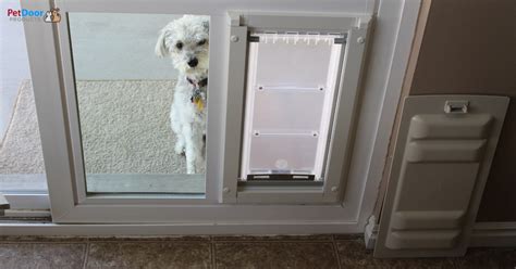 Protect Your Furry Friend: The Ultimate Guide to Screen Door Protectors for Dogs