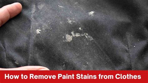 Protect Your Paint from the Perils of Stains: A Comprehensive Guide to Stain Blockers