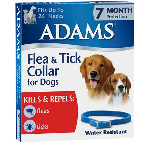 Protect Your Pet: A Comprehensive Guide to Flea and Tick Collars