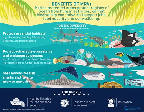 Protect marine ecosystems: