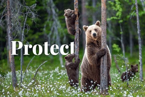 Protecting Habitats: