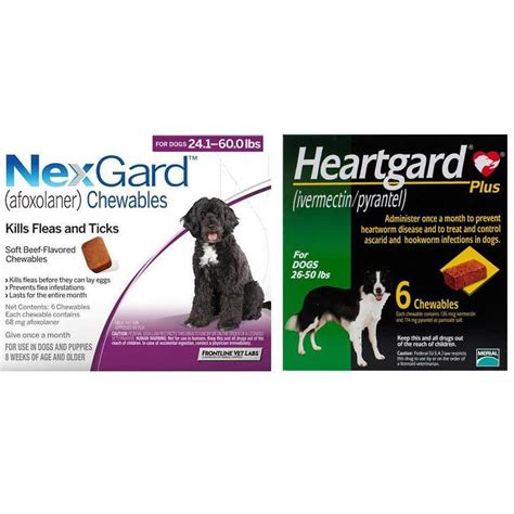 Protecting Your Furry Family from Parasites: A Comprehensive Guide to Heartgard and Nexgard