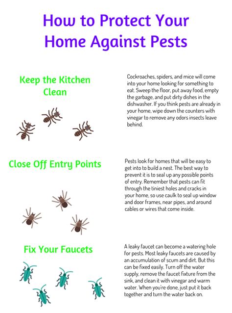 Protecting Your Home and Health from Pests