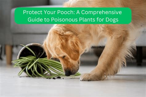 Protecting Your Pooch from Pesky Parasites: A Comprehensive Guide to Flea Control