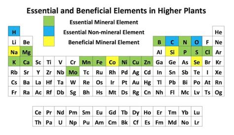 Protection and Comfort: The Essential Elements