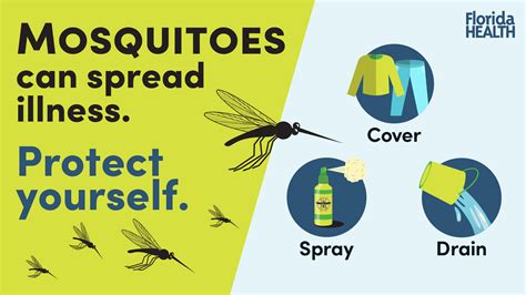 Protection from Mosquito-Borne Diseases: