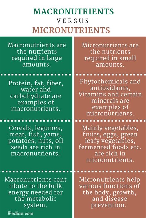 Protein: A Macro and Micronutrient