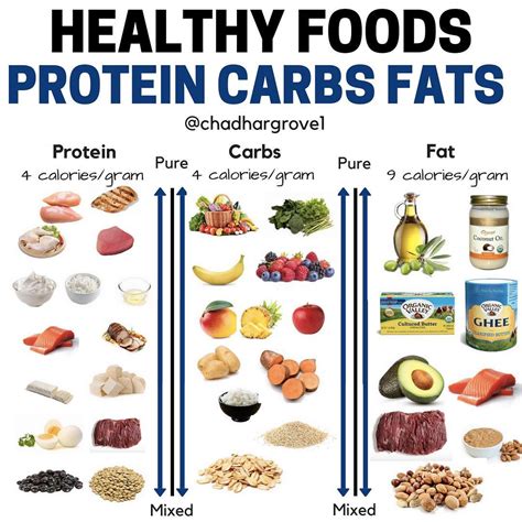 Protein Carbs Fat Chart