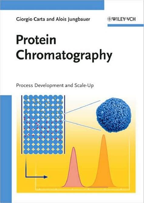 Protein Chromatography Process Development and Scale-Up Reader