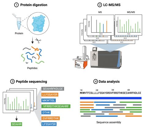 Protein Sequencing A Practical Approach Doc