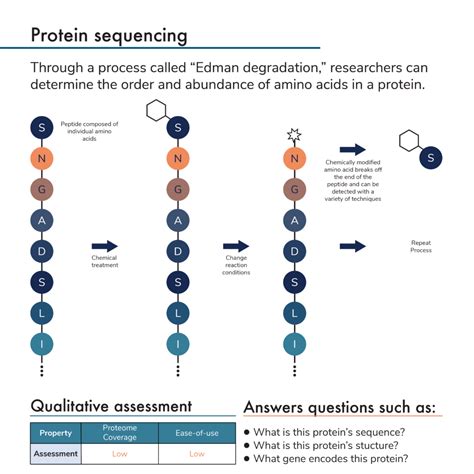 Protein Sequencing A Practical Approach Doc