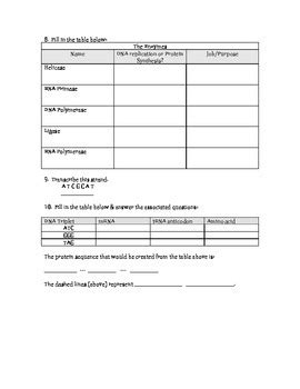 Protein Synthesis Keystone Packet Review Answerkey PDF