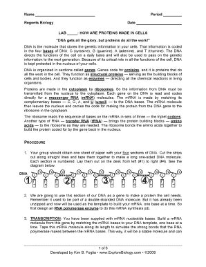 Protein Synthesis Lab Answer Key Epub