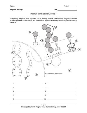 Protein Synthesis Practice 1 Answer Key Reader