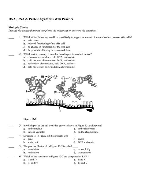 Protein Synthesis Practice 2 Answers Reader