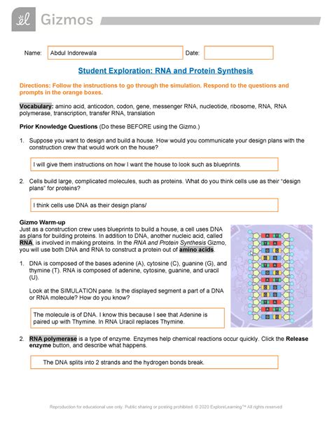 Protein Synthesis Review Answers Epub