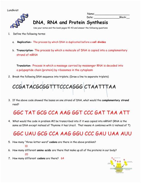 Protein Synthesis Webquest Answers Reader