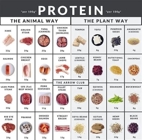 Protein Value Of Foods Chart