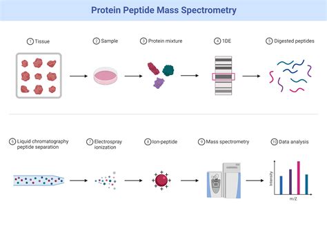 Protein and Peptide Mass Spectrometry in Drug Discovery Kindle Editon