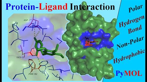 Protein-Ligand Interactions Reader