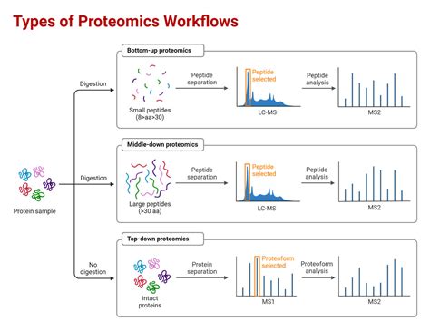 Proteomics: