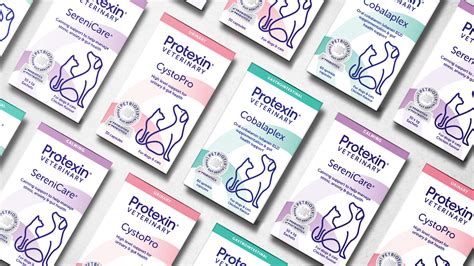 Protexin：健康生活的基石