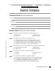 Protien Synthesis Section 10 4 Review Answers PDF