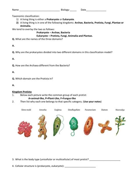 Protist And Fungi 20 Answers Reader