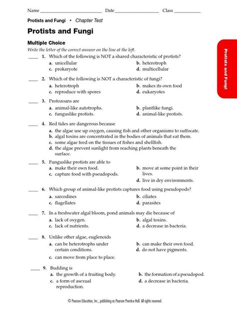 Protist And Fungi Chapter Review Answers Reader