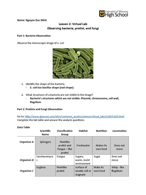 Protist And Fungi Virtual Lab Answers Epub