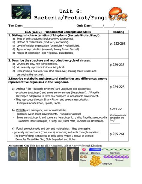 Protist Fungi Test Answers Epub