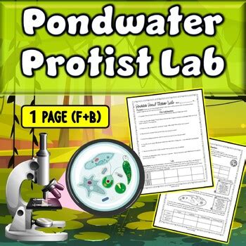 Protists In Pond Water Lab Answers Epub