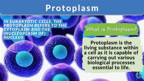 Protoplasm Reader