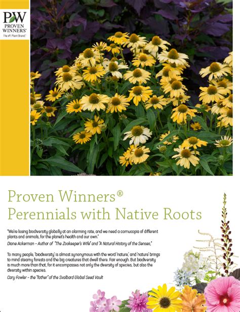 Proven Winners Catalog Request Online