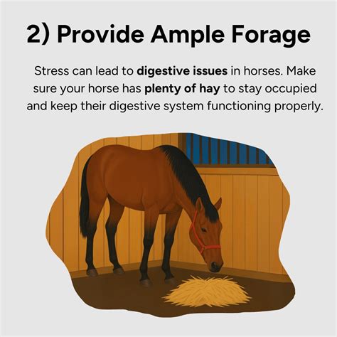 Provide Ample Forage: