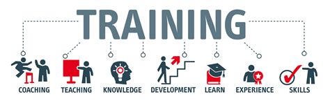 Provide comprehensive training.